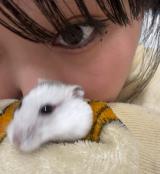 んッ、今日は暇でした