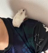 シフト変更すいません