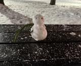 みんな、だいじょーぶ！？？